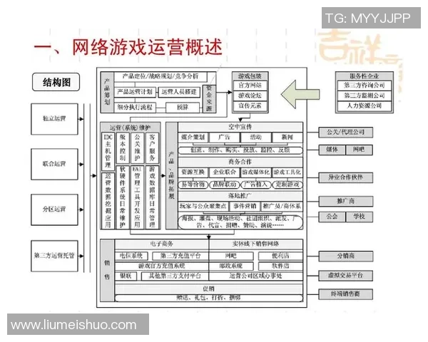 深入分析北京排球队的运营策略与市场推广模式