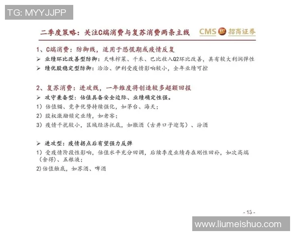 深圳网球队防守策略深度解析与战术应用探讨