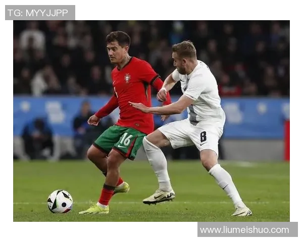 2006年斯诺文尼亚与中国足球友谊赛回顾与分析